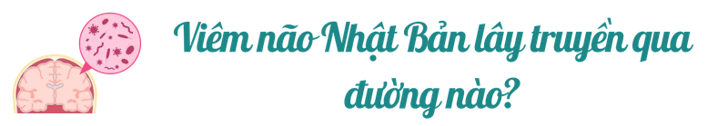 viem-mui-nhat-ban-tittle-3.png