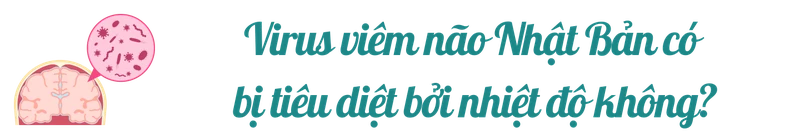 viem-mui-nhat-ban-tittle-5.png