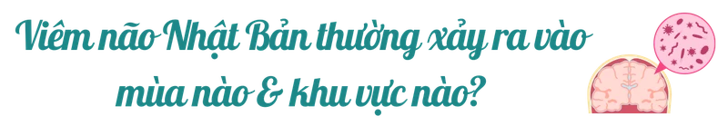 viem-mui-nhat-ban-tittle-6.png