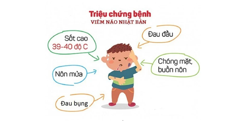 viem-nao1.jpg