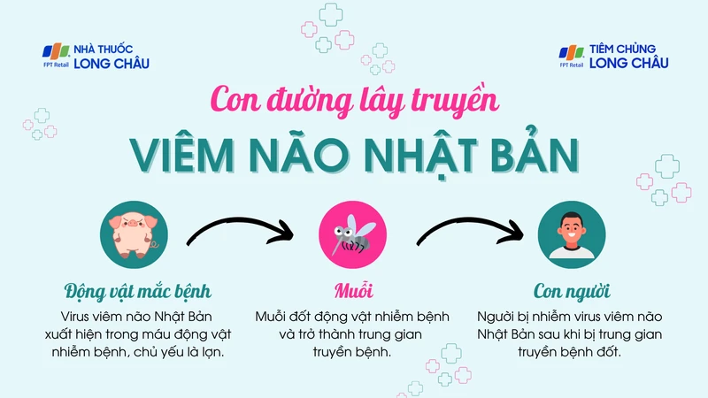 viem-nao-nhat-ban-2.png