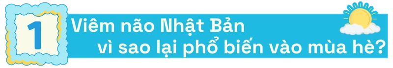 Viêm não Nhật Bản – Mùa nào dễ gặp, cách nào dễ phòng? h2 1