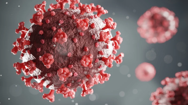 Virus Rubella gây viêm phổi bẩm sinh