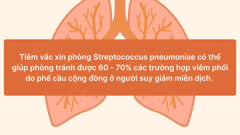 viem-phoi-do-phe-cau-hiem-hoa-bi-xem-nhe-o-nguoi-lon-tuoi-10.png