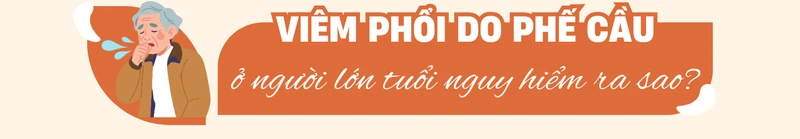 viem-phoi-do-phe-cau-hiem-hoa-bi-xem-nhe-o-nguoi-lon-tuoi-4.png