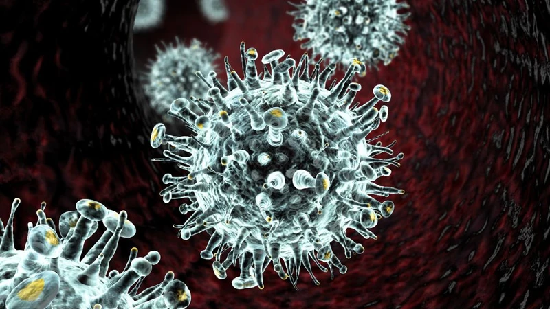 virus-cum-a-co-nguy-hiem-khong-phong-lay-nhiem-ra-sao-1.jpg