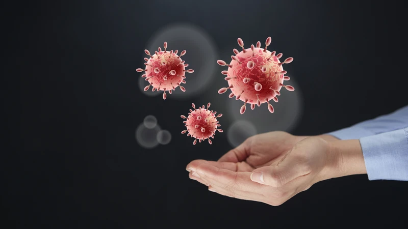 Virus cúm có thể biến đổi qua từng mùa dịch