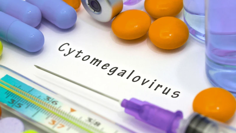 Virus Cytomegalo, hay Cytomegalovirus (CMV), là một loại virus thuộc họ herpesvirus