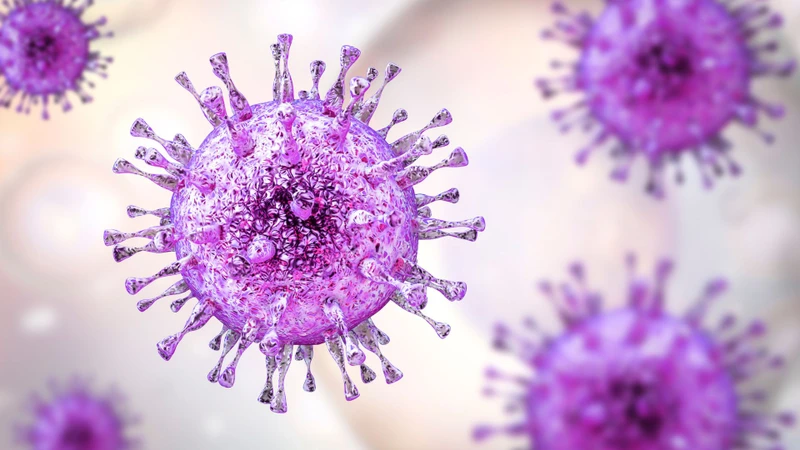 Virus Cytomegalo (CMV) có thể lây truyền khi một người tiếp xúc trực tiếp với các dịch cơ thể có chứa virus