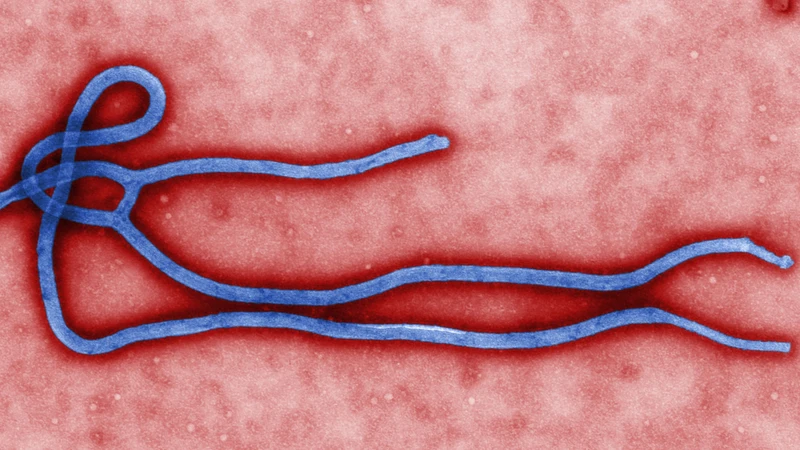 Virus vẫn có thể tồn tại trên bề mặt đồ dùng