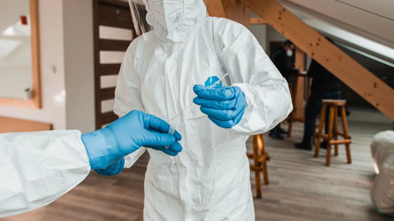 virus-ebola-rung-tai-la-gi-nguon-goc-va-trieu-chung2.jpg
