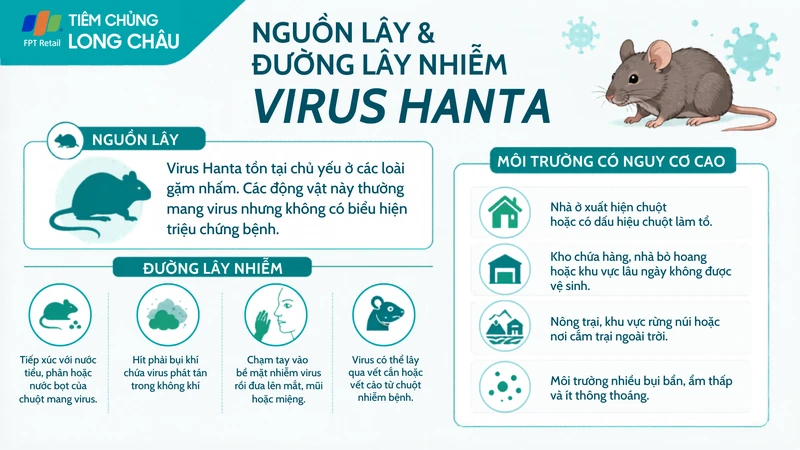 Virus Hanta tồn tại chủ yếu ở các loài gặm nhấm