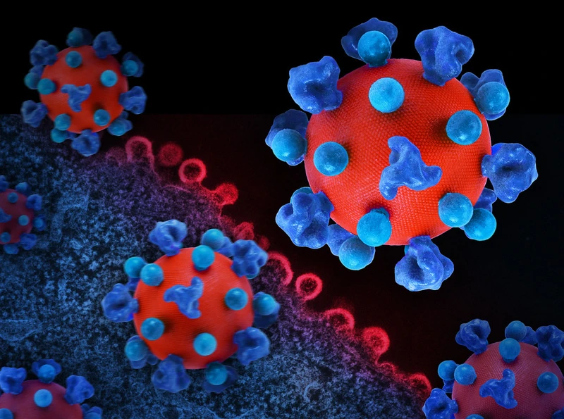 Virus HIV là gì? Cách virus HIV xâm nhập vào cơ thể gây bệnh  1
