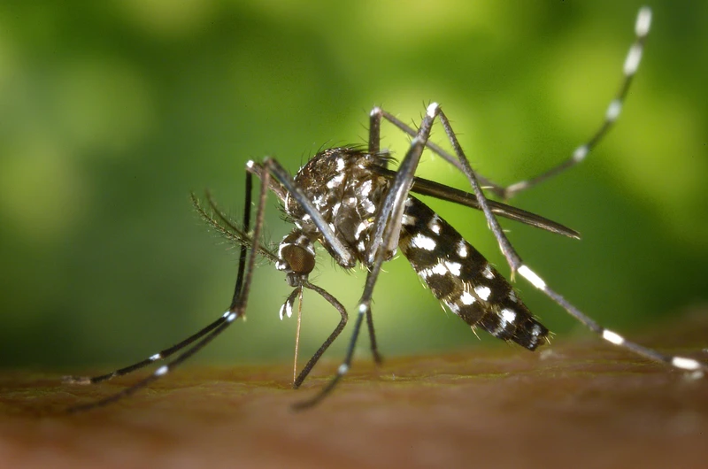 Virus HIV là gì? Cách virus HIV xâm nhập vào cơ thể gây bệnh 4