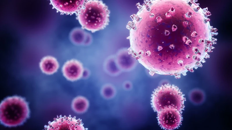 virus-hop-bao-ho-hap-trieu-chung-va-nhung-bien-chung-nguy-hiem 1.jpg