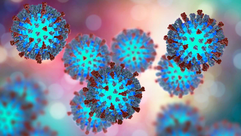 virus-paramyxoviridae-la-gi-va-lam-sao-phong-tranh-1
