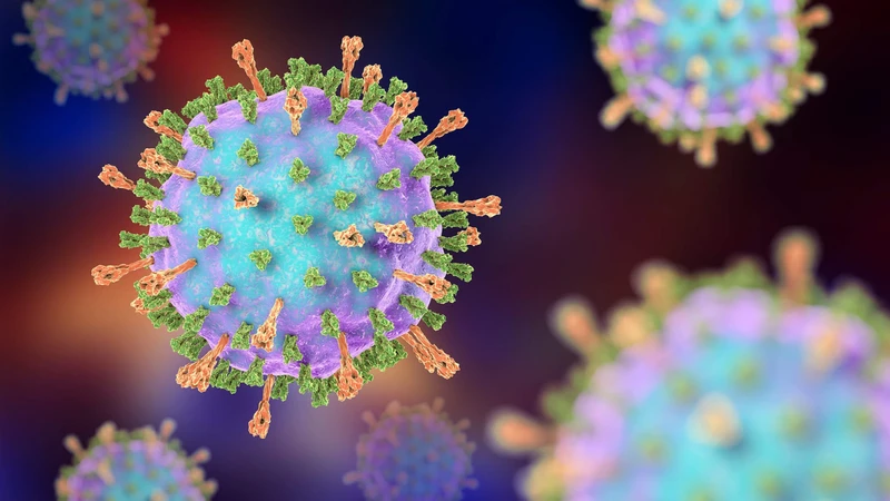 virus-quai-bi 2.png
