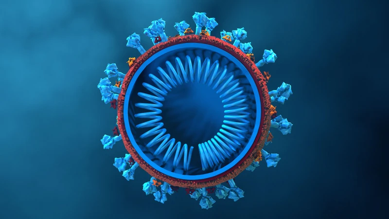 Virus RNA có cấu tạo đơn giản nhưng khả năng biến đổi và lây truyền rất đa dạng