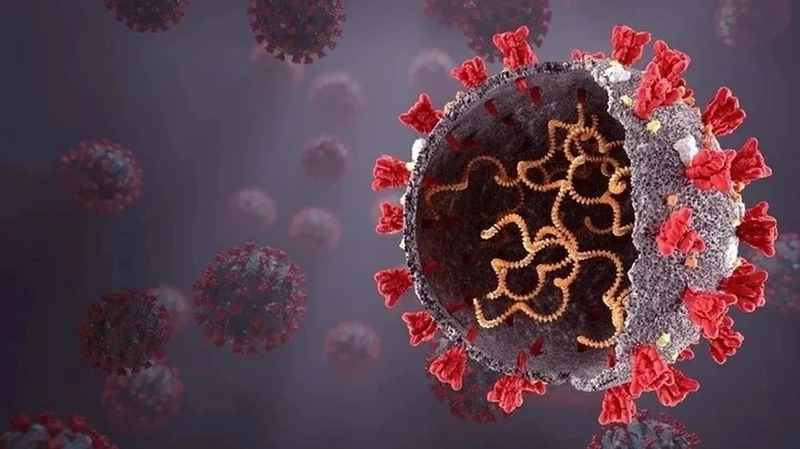 Virus SARS-CoV-2 gây bệnh gì? Nguồn gốc và cách phòng ngừa 1