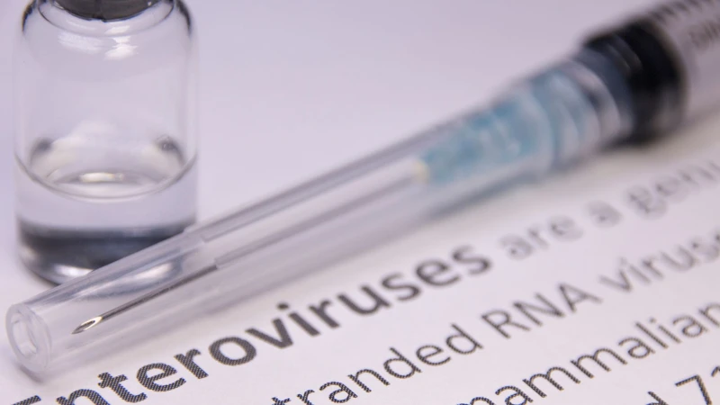 Có nhiều các nhóm virus phổ biến gây bệnh tay chân miệng ở trẻ