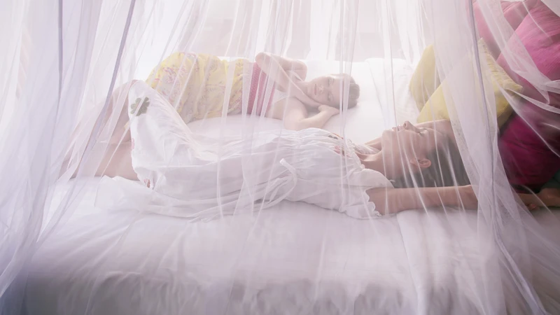 Ngủ màn để ngăn muỗi đốt là biện pháp đơn giản và hiệu quả để phòng ngừa lây nhiễm virus Tây Sông Nile