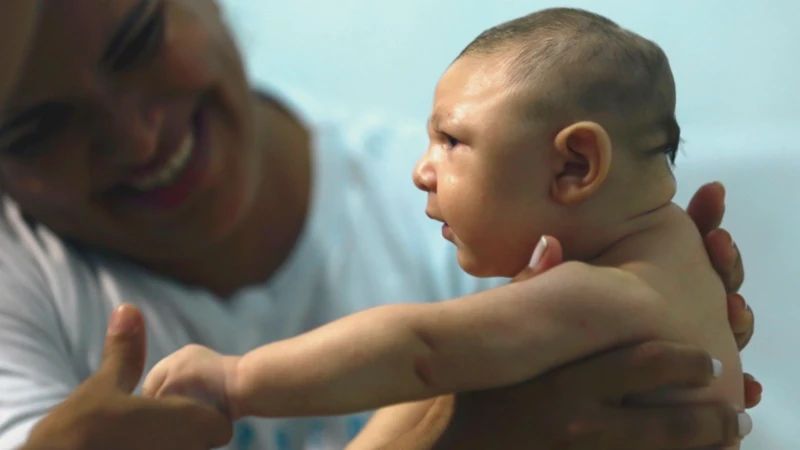 Virus zila làm gián đoạn quá trình phát triển hệ thần kinh trung ương của thai nhi