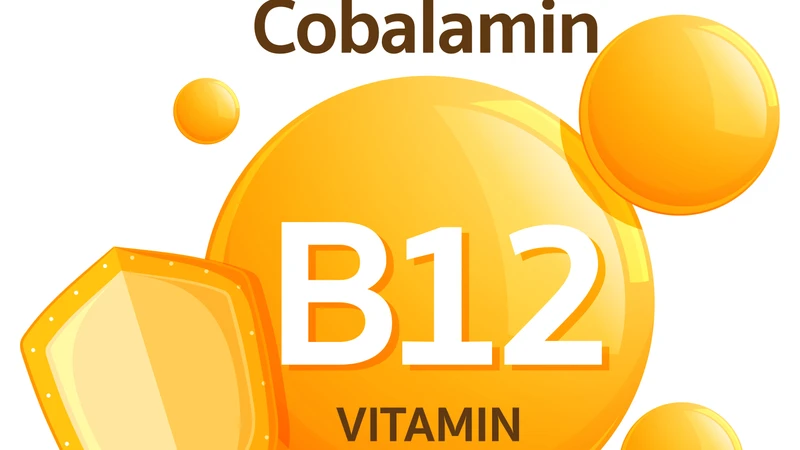 Vitamin B12 tham gia quá trình tạo hồng cầu