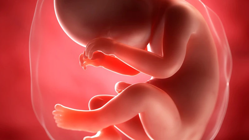 Vỡ ối sớm có thể dẫn đến nhiều biến chứng nghiêm trọng cho thai nhi