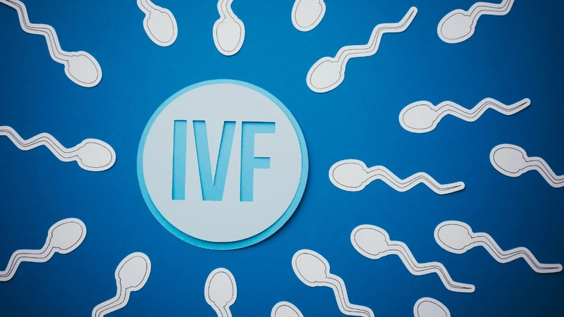 IVF là phương pháp hỗ trợ sinh sản hiệu quả cao cho các cặp vợ chồng vô sinh