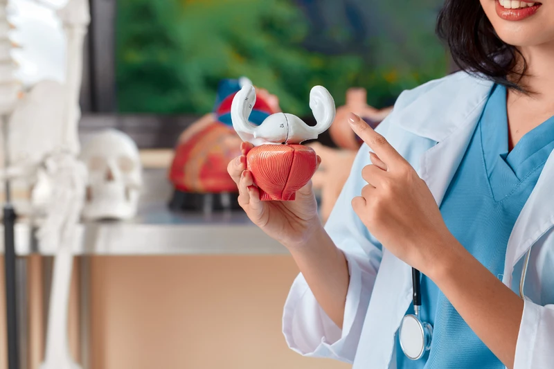 Vòng kinh 30 ngày thì rụng trứng vào ngày nào? 3