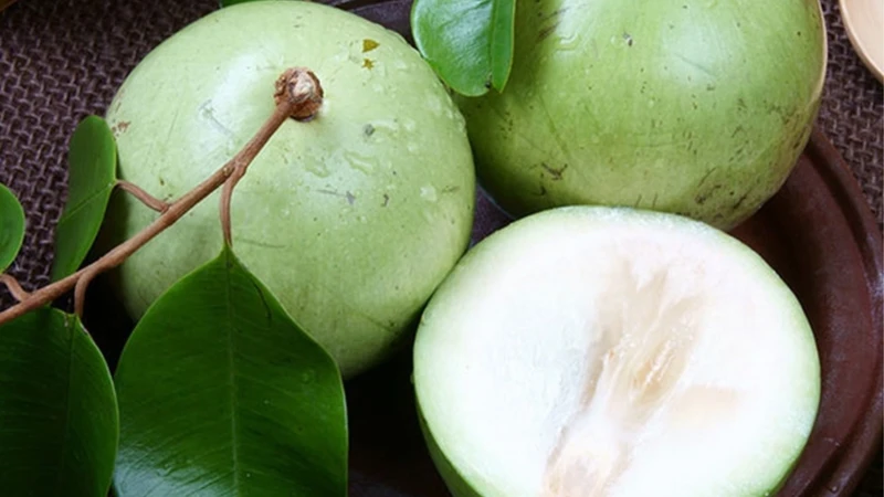 Vú sữa giàu nước và carbohydrate tự nhiên, bổ sung năng lượng, hỗ trợ cơ thể duy trì đủ nước mỗi ngày