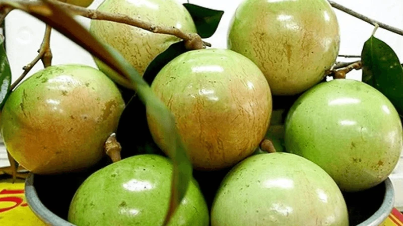 Nguồn chất xơ trong quả hỗ trợ hệ tiêu hóa, kéo dài cảm giác no và góp phần duy trì cân nặng
