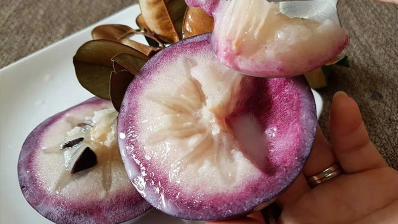 Thưởng thức vú sữa đúng cách giúp cảm nhận trọn vẹn hương vị