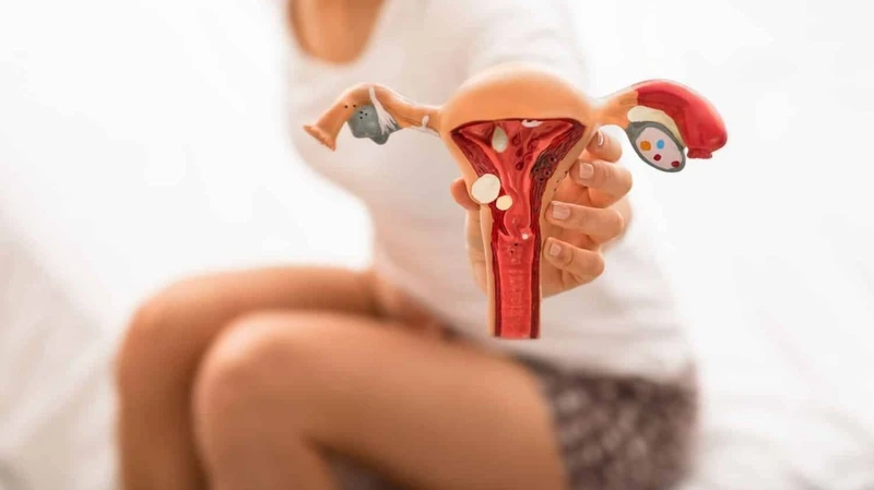 Vùng kín nổi cục cứng đau là dấu hiệu của bệnh gì?  7