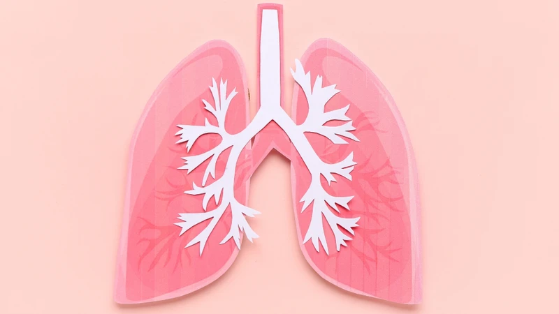 Xạ hình phổi có giá trị cao trong phát hiện sớm các rối loạn chức năng