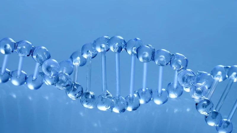 Tư vấn di truyền giúp hiểu đúng kết quả xét nghiệm