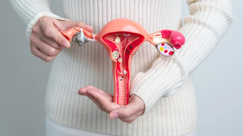 Xét nghiệm AMH giúp phát hiện sớm các rối loạn nội tiết và bệnh lý buồng trứng