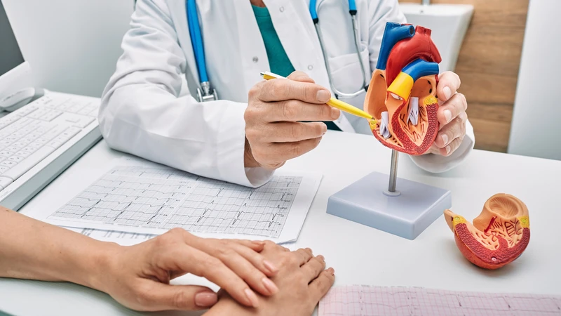Ion K+ thường tập trung chủ yếu trong tế bào, quyết định khả năng co bóp của cơ tim