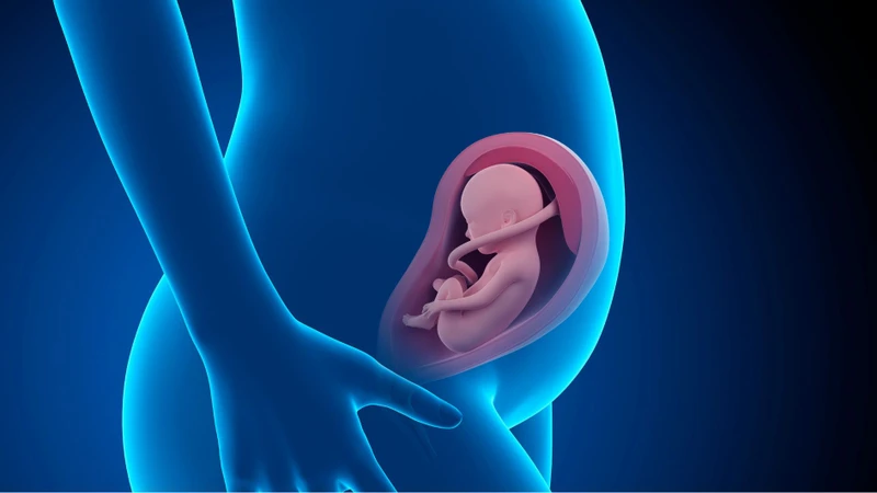 Nhiễm vi khuẩn GBS ảnh hưởng đến sức khỏe mẹ và thai nhi
