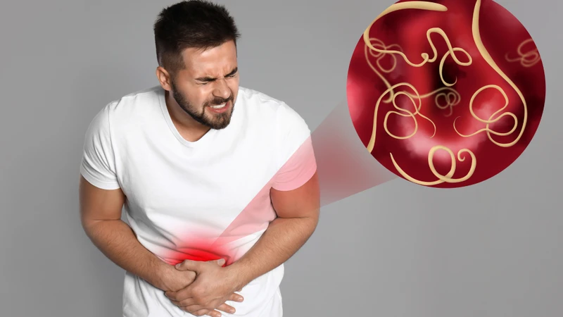 Xét nghiệm giun sán: Dấu hiệu cảnh báo và các phương pháp xét nghiệm 1