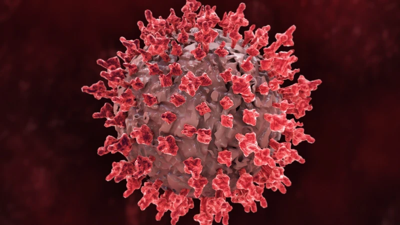 Giai đoạn cửa sổ là khoảng thời gian từ khi virus HIV xâm nhập vào cơ thể đến khi cơ thể tạo ra đủ kháng thể