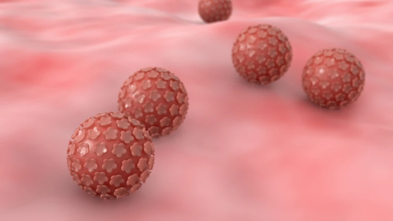 xet-nghiem-hpv-genotype-la-gi-nhung-doi-tuong-nao-nen-lam-xet-nghiem-hpv-genotype-1.png