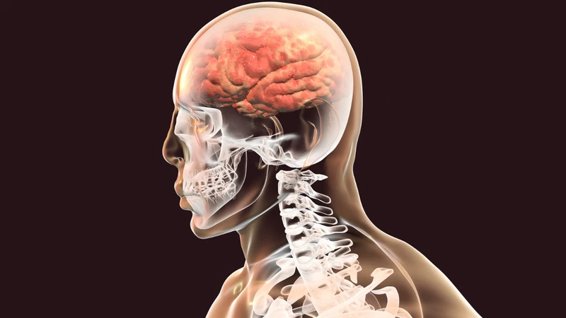 Xét nghiệm máu có phát hiện viêm màng não hay không? 4