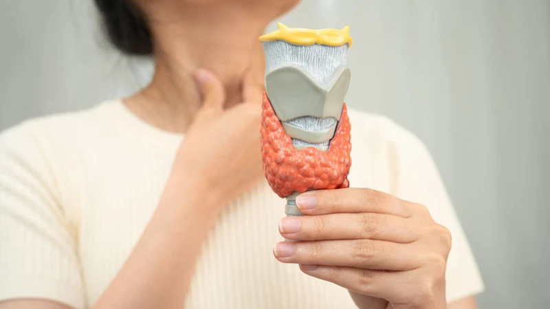 Xét nghiệm máu giúp kiểm tra hoạt động của tuyến giáp thông qua các chỉ số trong máu