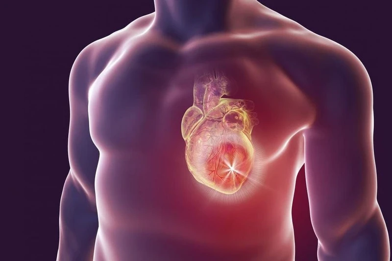 Xét nghiệm men tim giúp đánh giá mức độ tổn thương và hoại tử cơ tim bằng cách định lượng các enzym, protein đặc hiệu