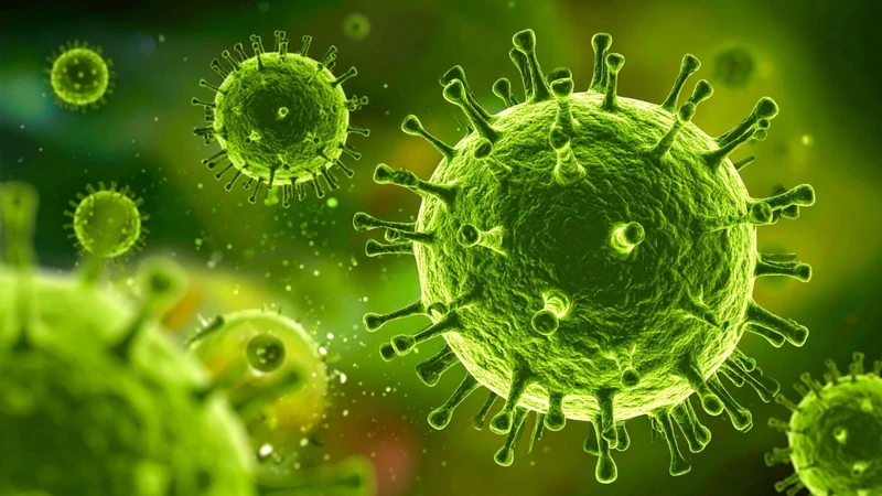 Xét nghiệm Mycoplasma là gì?