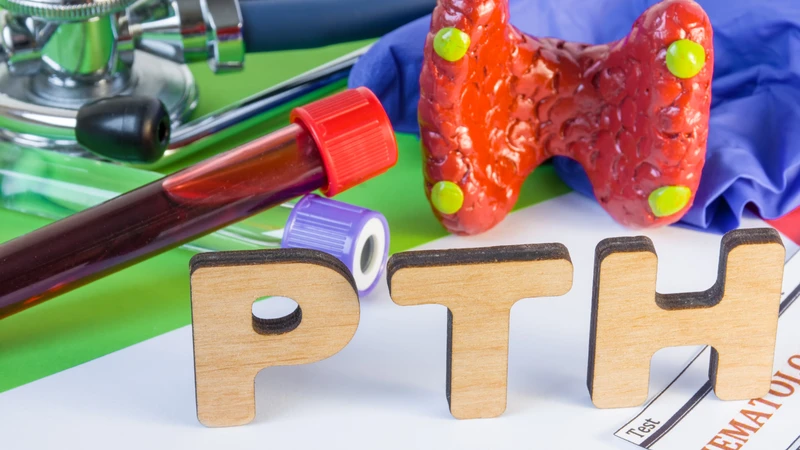 Xét nghiệm PTH là một trong những xét nghiệm quan trọng giúp đánh giá sự cân bằng canxi trong cơ thể