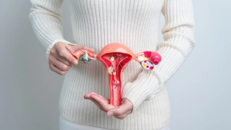 Kiểm tra độ thông suốt của vòi trứng là yếu tố then chốt trong chẩn đoán vô sinh