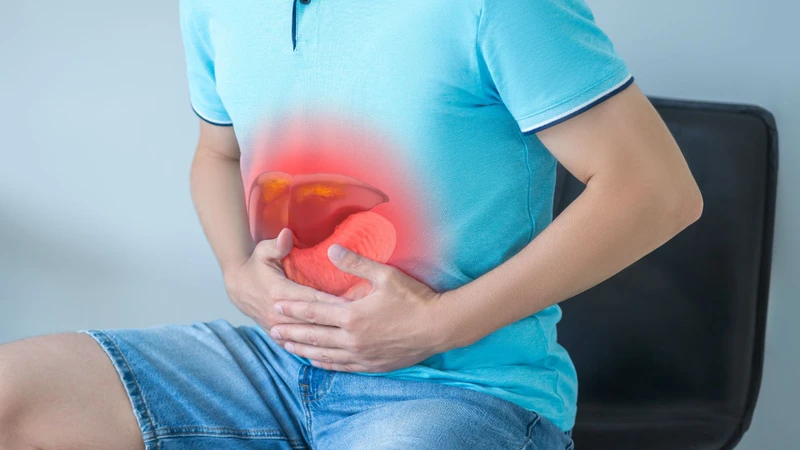 Xơ gan F1 thường được dùng để chỉ mức độ xơ hóa gan nhẹ hoặc giai đoạn sớm của quá trình xơ hóa gan
