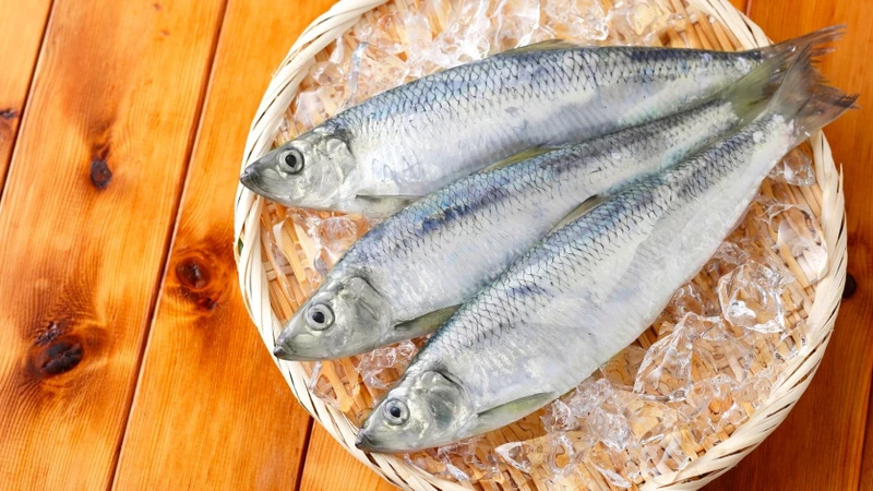 Xơ gan nên ăn gì? Cá là một trong những nguồn protein có thể đưa vào bữa ăn
